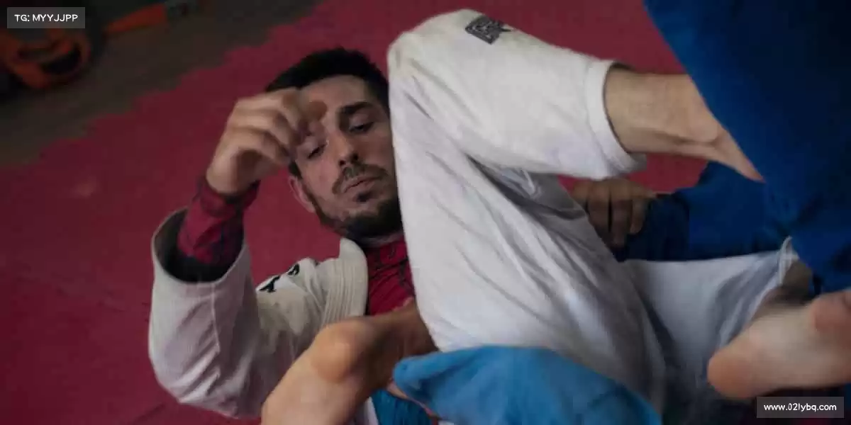 行业领先的理由